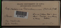 Image Associated With the Occurence